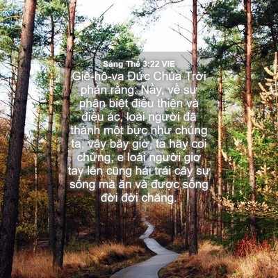Picture 04 - Sáng Thế 3:22 VIE - Giê-hô-va Đức Chúa Trời phán rằng: - Bible Verse Picture