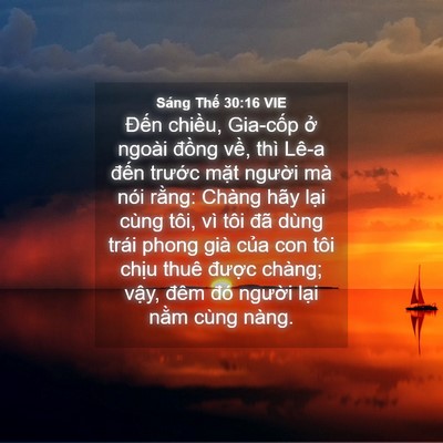 Picture 04 - Sáng Thế 30:16 VIE - Đến chiều, Gia-cốp ở ngoài đồng - Bible Verse Picture