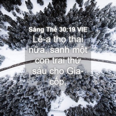 Picture 04 - Sáng Thế 30:19 VIE - Lê-a thọ thai nữa, sanh một con trai thứ - Bible Verse Picture