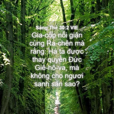 Picture 04 - Sáng Thế 30:2 VIE - Gia-cốp nổi giận cùng Ra-chên mà rằng: - Bible Verse Picture