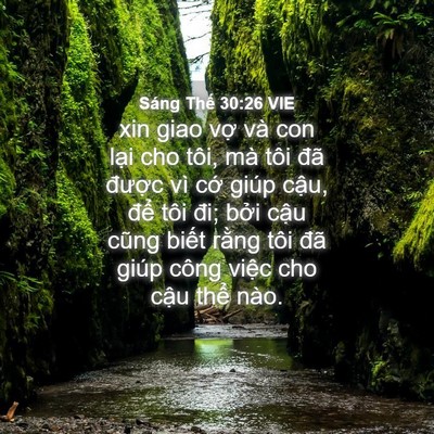 Picture 04 - Sáng Thế 30:26 VIE - xin giao vợ và con lại cho tôi, mà tôi - Bible Verse Picture