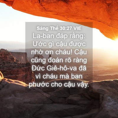 Picture 04 - Sáng Thế 30:27 VIE - La-ban đáp rằng: Ước gì cậu được - Bible Verse Picture