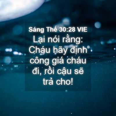 Picture 04 - Sáng Thế 30:28 VIE - Lại nói rằng: Cháu hãy định công giá - Bible Verse Picture