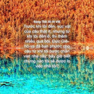 Picture 04 - Sáng Thế 30:30 VIE - Trước khi tôi đến, súc vật của cậu - Bible Verse Picture