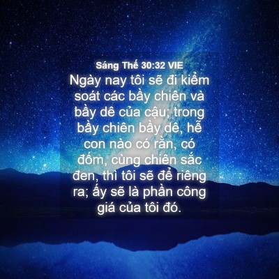 Picture 04 - Sáng Thế 30:32 VIE - Ngày nay tôi sẽ đi kiểm soát các bầy - Bible Verse Picture