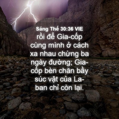 Picture 04 - Sáng Thế 30:36 VIE - rồi để Gia-cốp cùng mình ở cách xa - Bible Verse Picture