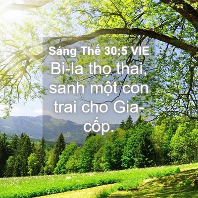 Picture 04 - Sáng Thế 30:5 VIE - Bi-la thọ thai, sanh một con trai cho - Bible Verse Picture