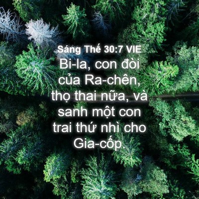 Picture 04 - Sáng Thế 30:7 VIE - Bi-la, con đòi của Ra-chên, thọ thai - Bible Verse Picture