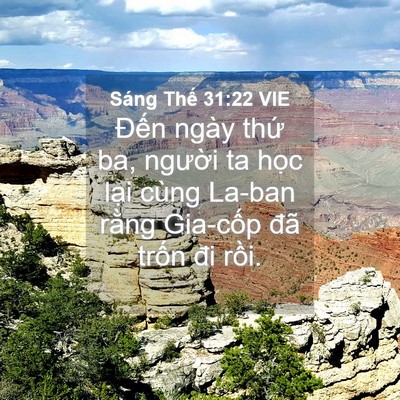 Picture 04 - Sáng Thế 31:22 VIE - Đến ngày thứ ba, người ta học lại - Bible Verse Picture