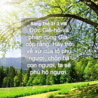 Picture 04 - Sáng Thế 31:3 VIE - Đức Giê-hô-va phán cùng Gia-cốp rằng: - Bible Verse Picture