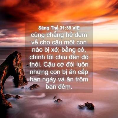 Picture 04 - Sáng Thế 31:39 VIE - cũng chẳng hề đem về cho cậu một con - Bible Verse Picture