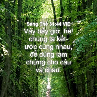 Picture 04 - Sáng Thế 31:44 VIE - Vậy bây giờ, hè! chúng ta kết-ước - Bible Verse Picture