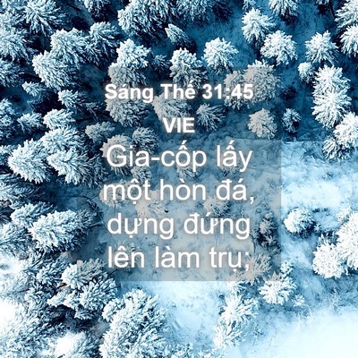 Picture 04 - Sáng Thế 31:45 VIE - Gia-cốp lấy một hòn đá, dựng đứng - Bible Verse Picture
