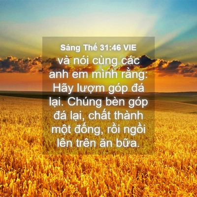 Picture 04 - Sáng Thế 31:46 VIE - và nói cùng các anh em mình rằng: Hãy - Bible Verse Picture