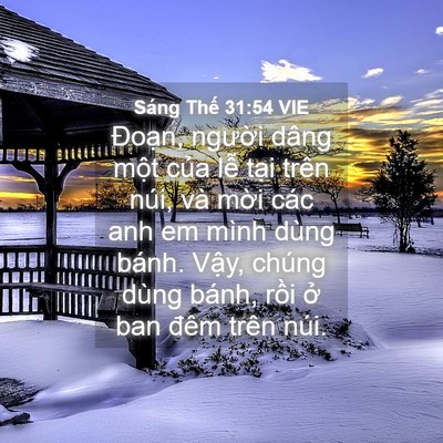 Picture 04 - Sáng Thế 31:54 VIE - Đoạn, người dâng một của lễ tại - Bible Verse Picture