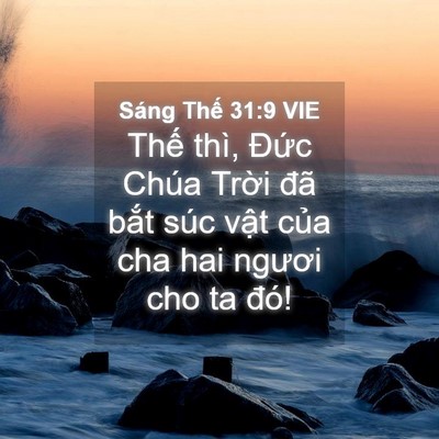 Picture 04 - Sáng Thế 31:9 VIE - Thế thì, Đức Chúa Trời đã bắt súc - Bible Verse Picture