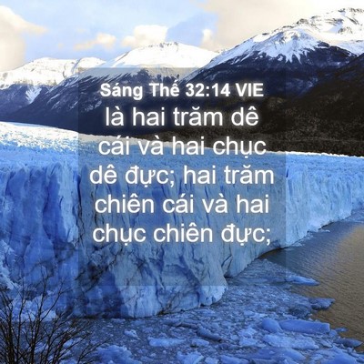 Picture 04 - Sáng Thế 32:14 VIE - là hai trăm dê cái và hai chục dê đực; - Bible Verse Picture