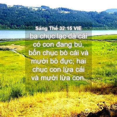 Picture 04 - Sáng Thế 32:15 VIE - ba chục lạc đà cái có con đang bú, - Bible Verse Picture