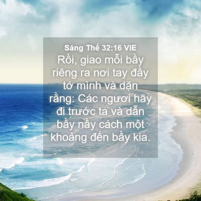 Picture 04 - Sáng Thế 32:16 VIE - Rồi, giao mỗi bầy riêng ra nơi tay đầy - Bible Verse Picture