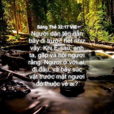 Picture 04 - Sáng Thế 32:17 VIE - Người dặn tên dẫn bầy đi trước - Bible Verse Picture