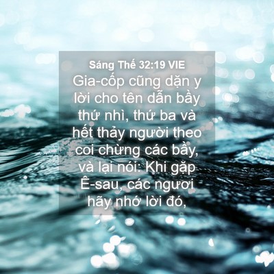 Picture 04 - Sáng Thế 32:19 VIE - Gia-cốp cũng dặn y lời cho tên dẫn - Bible Verse Picture