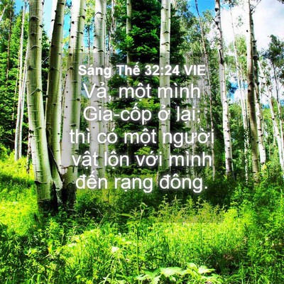 Picture 04 - Sáng Thế 32:24 VIE - Vả, một mình Gia-cốp ở lại; thì có - Bible Verse Picture