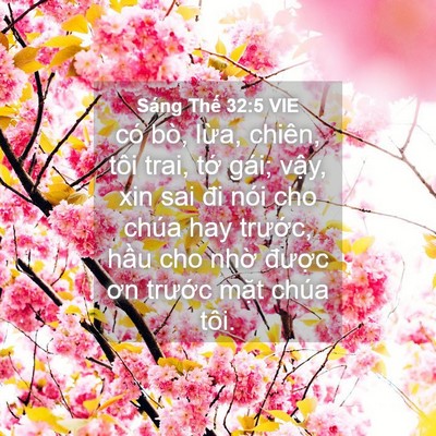 Picture 04 - Sáng Thế 32:5 VIE - có bò, lừa, chiên, tôi trai, tớ gái; - Bible Verse Picture