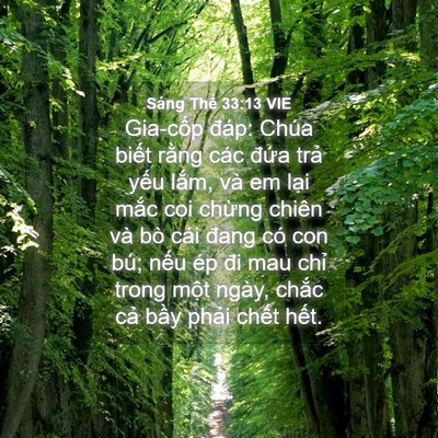 Picture 04 - Sáng Thế 33:13 VIE - Gia-cốp đáp: Chúa biết rằng các đứa - Bible Verse Picture