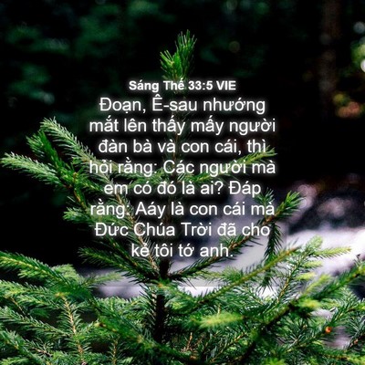 Picture 04 - Sáng Thế 33:5 VIE - Đoạn, Ê-sau nhướng mắt lên thấy mấy - Bible Verse Picture