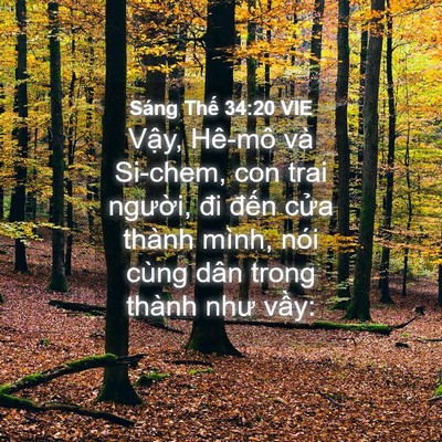 Picture 04 - Sáng Thế 34:20 VIE - Vậy, Hê-mô và Si-chem, con trai người, - Bible Verse Picture