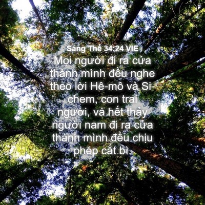 Picture 04 - Sáng Thế 34:24 VIE - Mọi người đi ra cửa thành mình đều - Bible Verse Picture