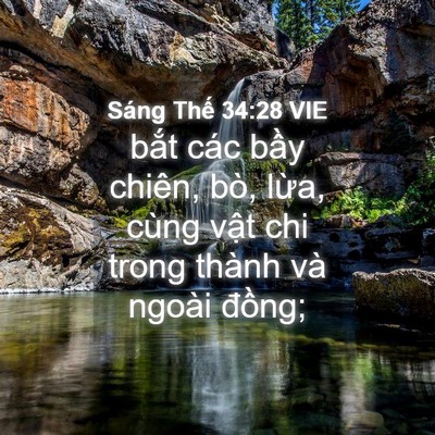 Picture 04 - Sáng Thế 34:28 VIE - bắt các bầy chiên, bò, lừa, cùng vật - Bible Verse Picture