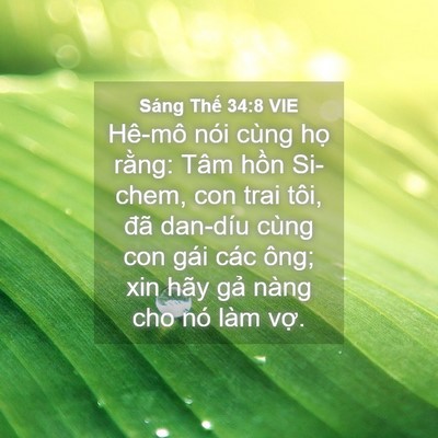 Picture 04 - Sáng Thế 34:8 VIE - Hê-mô nói cùng họ rằng: Tâm hồn - Bible Verse Picture