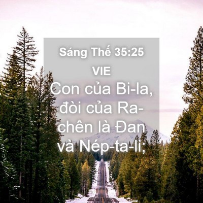 Picture 04 - Sáng Thế 35:25 VIE - Con của Bi-la, đòi của Ra-chên là Đan - Bible Verse Picture