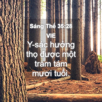 Picture 04 - Sáng Thế 35:28 VIE - Y-sác hưởng thọ được một trăm tám - Bible Verse Picture