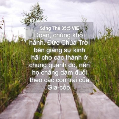 Picture 04 - Sáng Thế 35:5 VIE - Đoạn, chúng khởi hành. Đức Chúa Trời - Bible Verse Picture