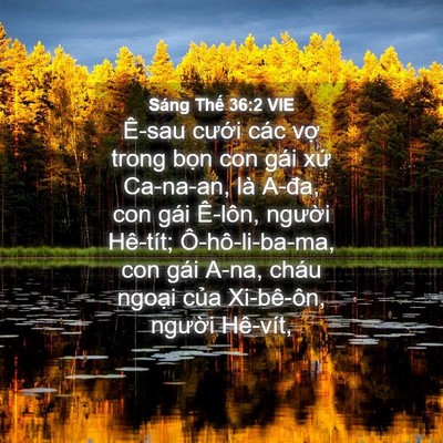 Picture 04 - Sáng Thế 36:2 VIE - Ê-sau cưới các vợ trong bọn con gái - Bible Verse Picture