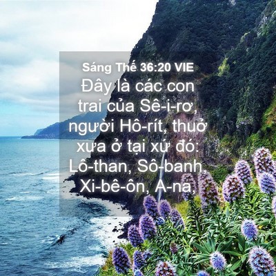 Picture 04 - Sáng Thế 36:20 VIE - Đây là các con trai của Sê-i-rơ, người - Bible Verse Picture