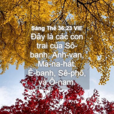 Picture 04 - Sáng Thế 36:23 VIE - Đây là các con trai của Sô-banh: Anh-van, - Bible Verse Picture