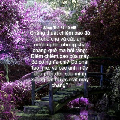 Picture 04 - Sáng Thế 37:10 VIE - Chàng thuật chiêm bao đó lại cho cha và - Bible Verse Picture