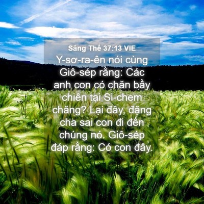 Picture 04 - Sáng Thế 37:13 VIE - Y-sơ-ra-ên nói cùng Giô-sép rằng: Các - Bible Verse Picture