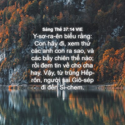 Picture 04 - Sáng Thế 37:14 VIE - Y-sơ-ra-ên biểu rằng: Con hãy đi, xem - Bible Verse Picture