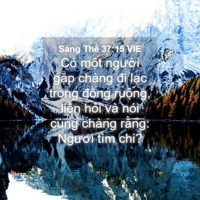 Picture 04 - Sáng Thế 37:15 VIE - Có một người gặp chàng đi lạc trong - Bible Verse Picture