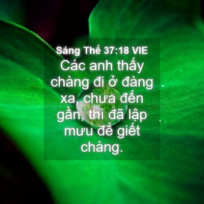 Picture 04 - Sáng Thế 37:18 VIE - Các anh thấy chàng đi ở đàng xa, chưa - Bible Verse Picture