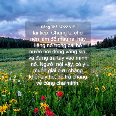 Picture 04 - Sáng Thế 37:22 VIE - lại tiếp: Chúng ta chớ nên làm đổ - Bible Verse Picture