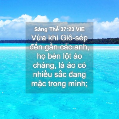Picture 04 - Sáng Thế 37:23 VIE - Vừa khi Giô-sép đến gần các anh, họ - Bible Verse Picture