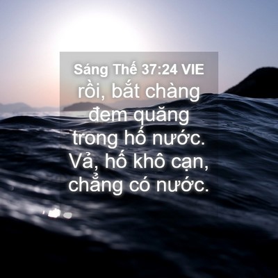 Picture 04 - Sáng Thế 37:24 VIE - rồi, bắt chàng đem quăng trong hố - Bible Verse Picture