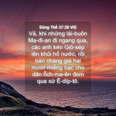 Picture 04 - Sáng Thế 37:28 VIE - Vả, khi những lái-buôn Ma-đi-an đi ngang - Bible Verse Picture