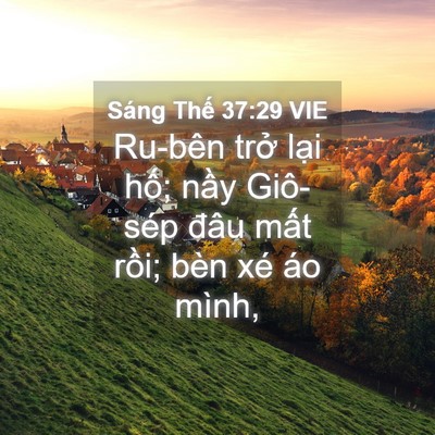 Picture 04 - Sáng Thế 37:29 VIE - Ru-bên trở lại hố; nầy Giô-sép đâu - Bible Verse Picture