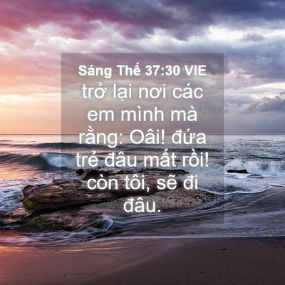 Picture 04 - Sáng Thế 37:30 VIE - trở lại nơi các em mình mà rằng: Oâi! - Bible Verse Picture
